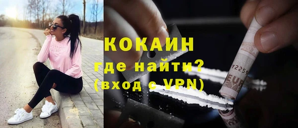 ешки Алексин