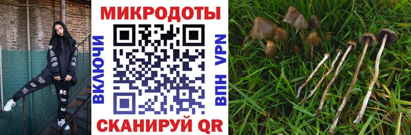 Псилоцибиновые грибы GOLDEN TEACHER  наркотики  Ардон 